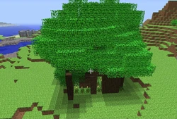 教學 樹木種植 Minecraft Wiki 最詳細的官方minecraft百科