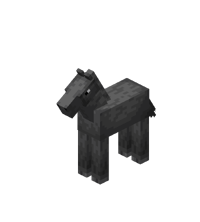 Baby Gray Horse