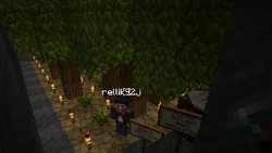 教學 樹木種植 Minecraft Wiki 最詳細的官方minecraft百科