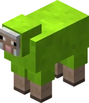 Lime Sheep JE2