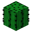 Cactus BE3