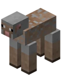 Sheared Light Gray Sheep BE1