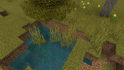 草丛 Minecraft Wiki 最详细的官方我的世界百科 草丛 Minecraft Wiki 最详细的官方我的世界百科