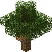 Oak Tree with Bee nest