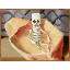 Skeleton (painting texture) JE1 BE1