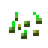 Wheat Seeds