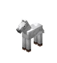 Baby White Horse with White Field