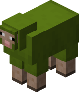 Green Sheep BE