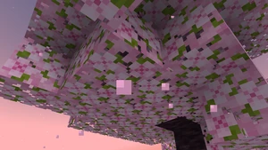 Particle falling cherry leaves