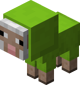 Baby Lime Sheep