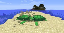 海龟 Minecraft Wiki 最详细的官方我的世界百科