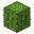 Cactus JE4