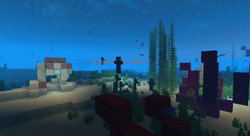 海草 Minecraft Wiki 最详细的官方我的世界百科