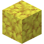 珊瑚方塊 Minecraft Wiki 最詳細的官方minecraft百科