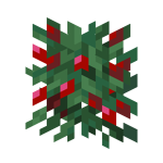 Sweet Berry Bush Age 3