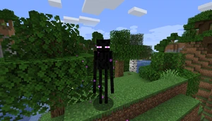 Purpleenderman