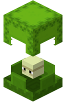 Lime Shulker