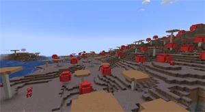 Mushroom Fields