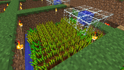教學 農作物種植 Minecraft Wiki 最詳細的minecraft百科