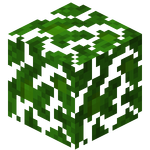 樹葉 Minecraft Wiki 最詳細的官方minecraft百科