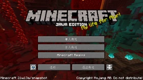 Java Edition 21w13a