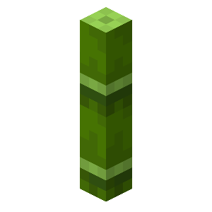 竹 Minecraft Wiki 竹 Minecraft Wiki