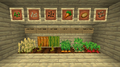目前游戏中所有的种子种类（除下界疣和可可豆）