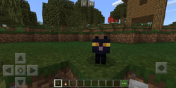 猫 Minecraft Wiki 最详细的官方我的世界百科 猫 Minecraft Wiki 最详细的官方我的世界百科