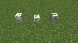 海龟蛋 Minecraft Wiki 最详细的官方我的世界百科 海龟蛋 Minecraft Wiki 最详细的官方我的世界百科