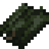 干海带 Minecraft Wiki 最详细的官方我的世界百科 干海带 Minecraft Wiki 最详细的官方我的世界百科