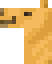 CamelFace