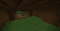 GrassBlockInMansion.png