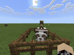 熊猫 Minecraft Wiki 最详细的官方我的世界百科 熊猫 Minecraft Wiki 最详细的官方我的世界百科