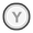 Y button