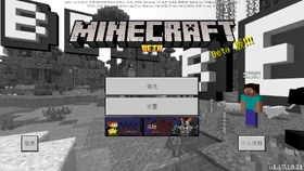 Bedrock 1.17.10.21 Simplified