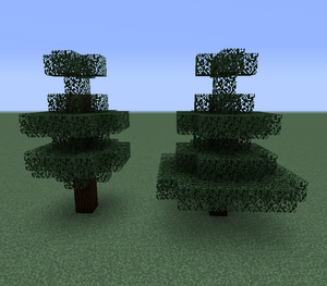 Minecraft杉木 Toktro