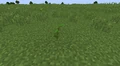 在18w10c之前，用/setblock在地面上生成的海带