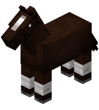 Darkbrown Horse with White Stockings
