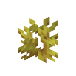 珊瑚 Minecraft Wiki 最詳細的官方minecraft百科
