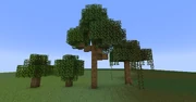 OakTrees