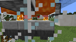 教學 家畜養殖 Minecraft Wiki