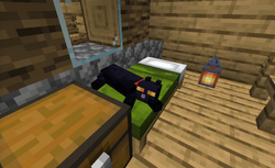 猫 Minecraft Wiki 最详细的官方我的世界百科 猫 Minecraft Wiki 最详细的官方我的世界百科