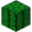 Cactus JE1