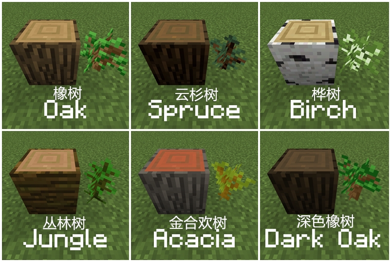 樹苗 Minecraft Wiki