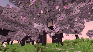 Particle cherry leaves