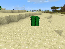 仙人掌 Minecraft Wiki 最详细的官方我的世界百科 仙人掌 Minecraft Wiki 最详细的官方我的世界百科