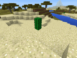 仙人掌 Minecraft Wiki 最详细的官方我的世界百科 仙人掌 Minecraft Wiki 最详细的官方我的世界百科