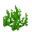 Seagrass