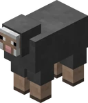 Gray Sheep JE2