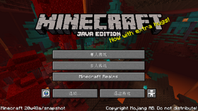 Java Edition 20w48a